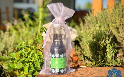 Nocino – bylinný italský likér