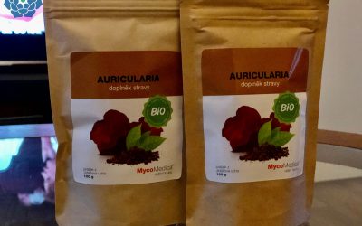 Posílení plic? Ideální je auricularia – ucho Jidášovo