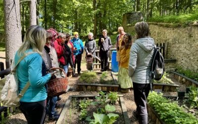 Fytoterapie Zlín: Jedlá divočina – jedlé byliny v praxi